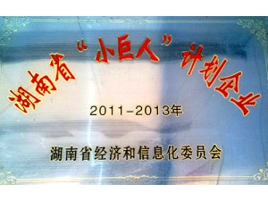 湖南省“小巨人”計劃企業