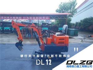 DL 12小型挖掘機(jī)