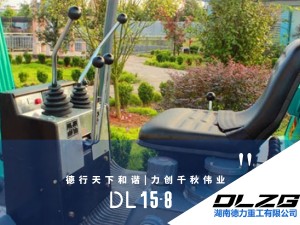 DL 15-8微小型挖掘機(jī)