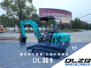 DL30-9小型挖掘機(jī)